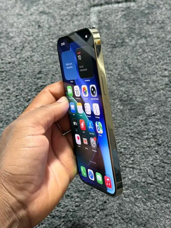 iPhone 256 Go Haut de Gamme