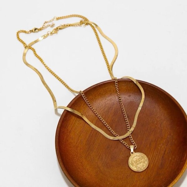 2in1 Mens coin necklace