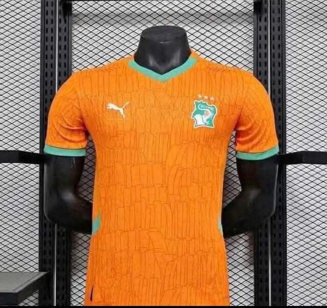 Maillot Côte d'Ivoire Puma