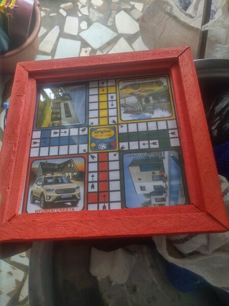 Ludo ludo