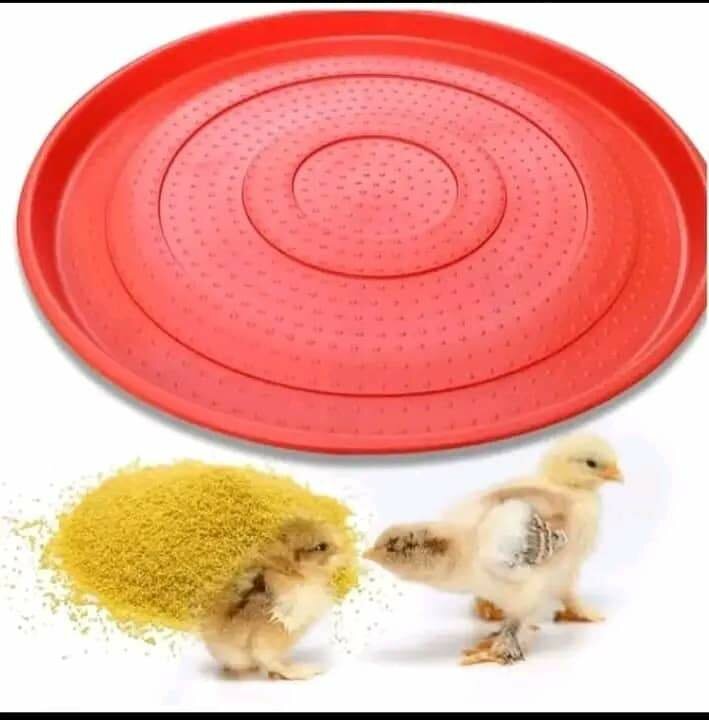Mangeoire démarrage (poussin)