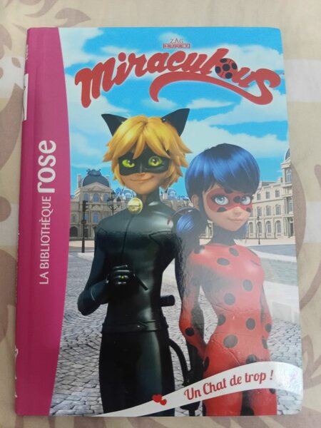 Livre Miraculous Ladybug