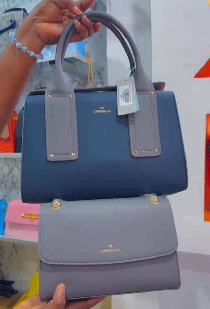 Élégant Set de Sacs à Main