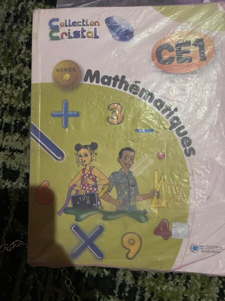 Cahier d'activités Français CE2