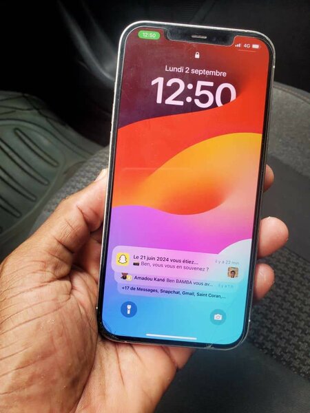 iPhone 12 pro max