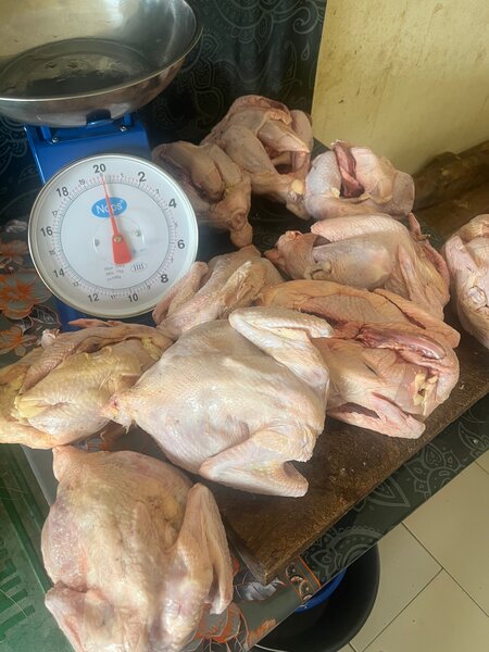 Poulet africain frais