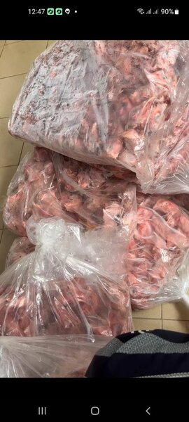 CHIC TOUTOU le surgelé pour chiens