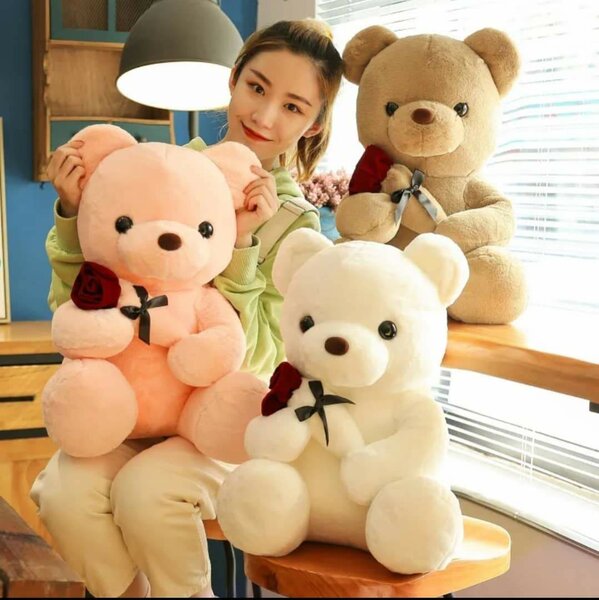 Adorable Teddy Bear Fluffy