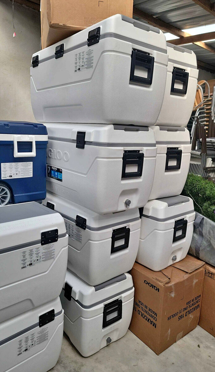 Glacière Igloo robuste