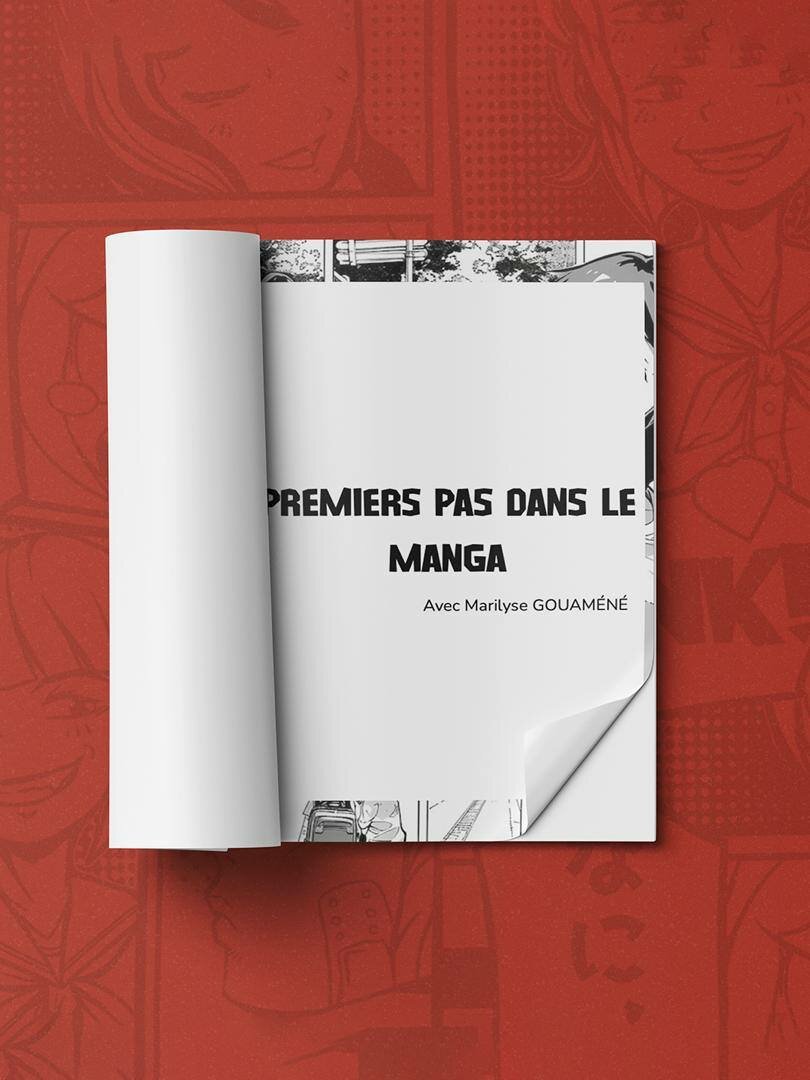 Mes premiers pas dans le Manga