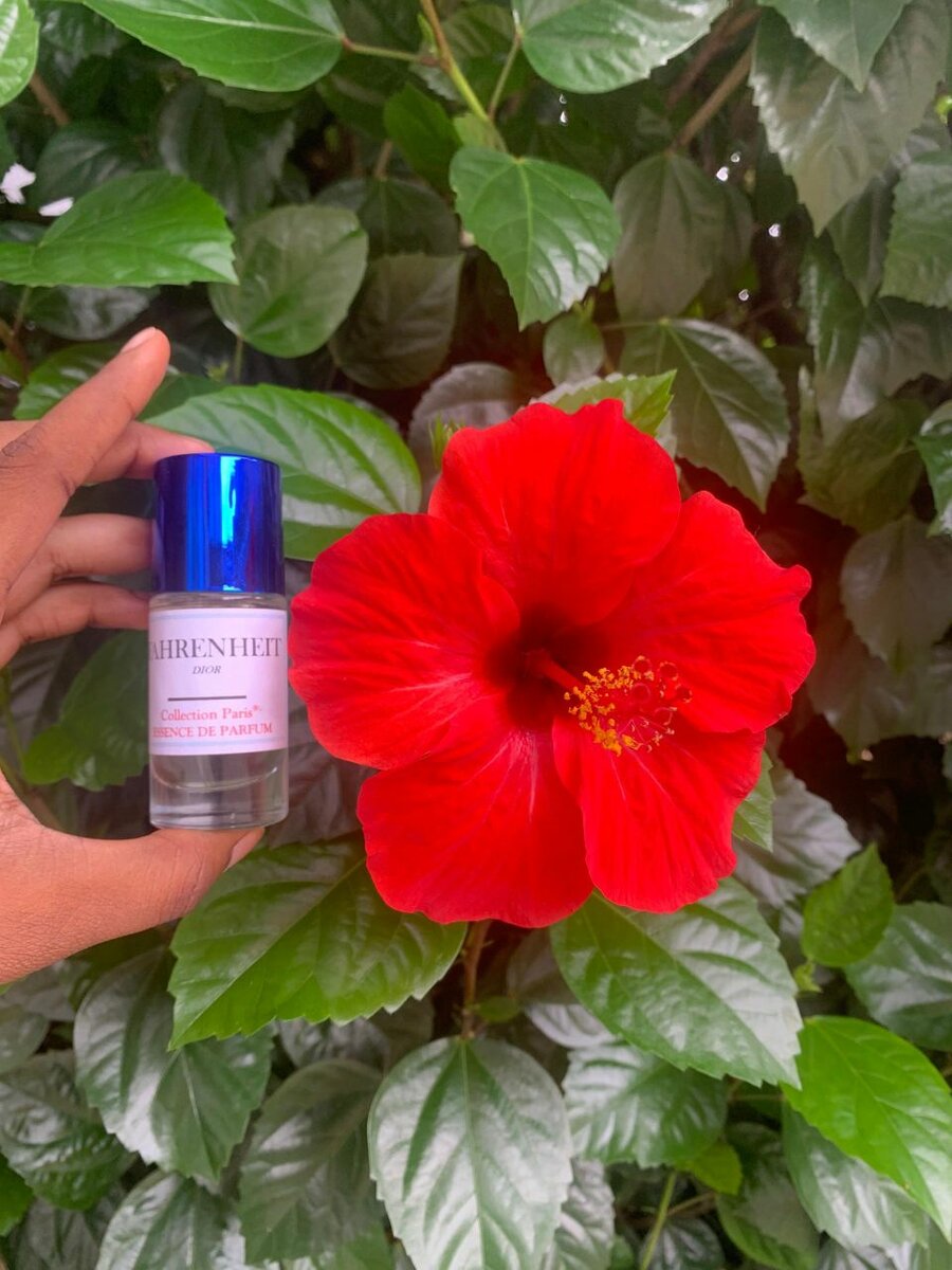 Essence de parfum sans mélange