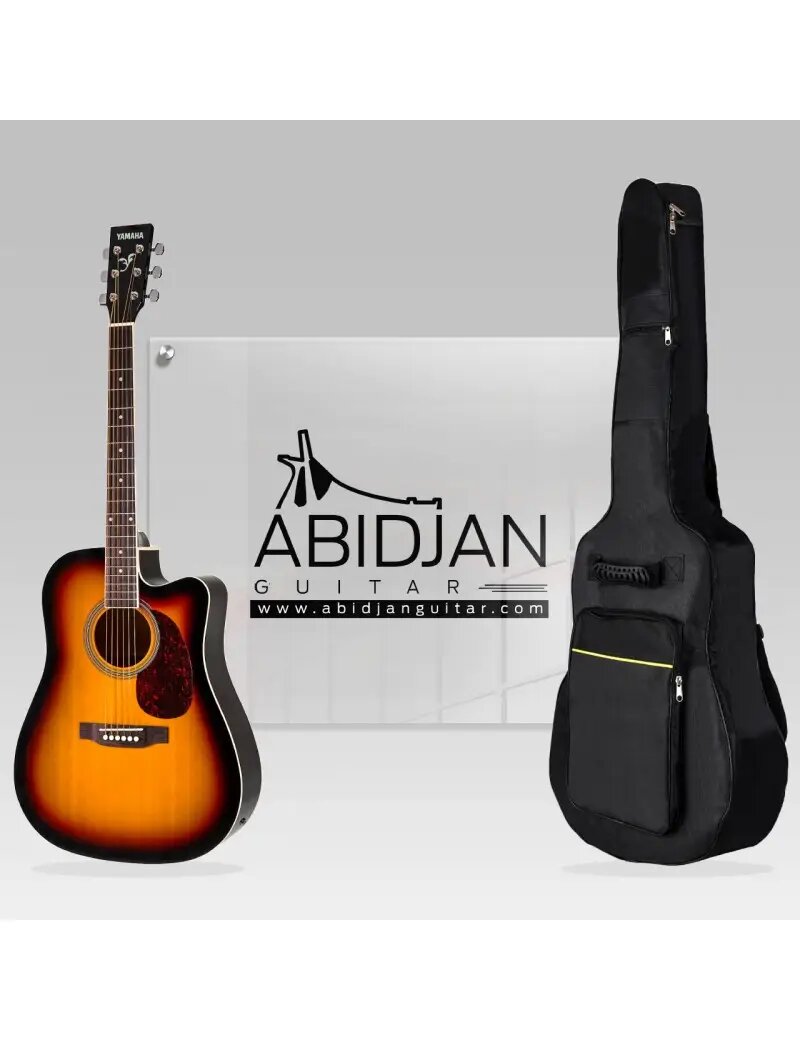 Guitare electro-acoustique