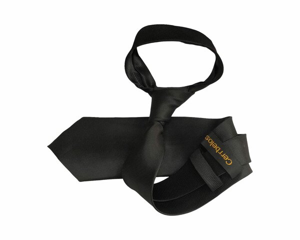 Cravate élégante pour homme