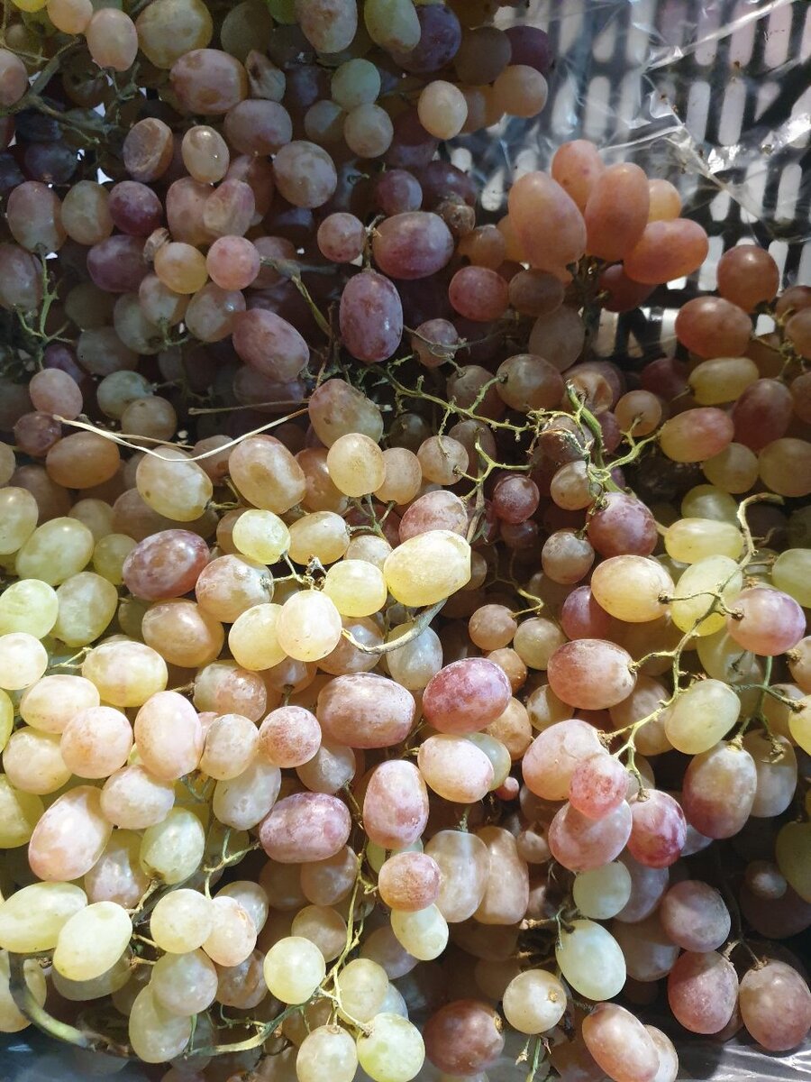 Grapes 1 kg