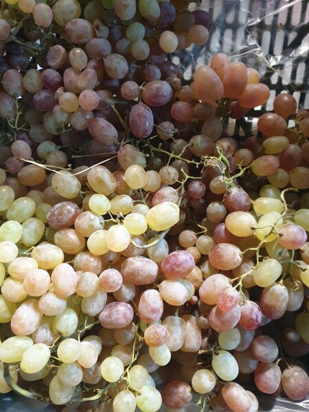 Grapes 1 kg