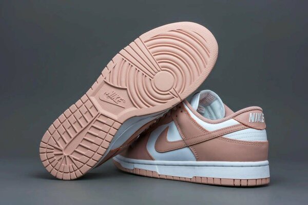 Nike sb Dunk Low