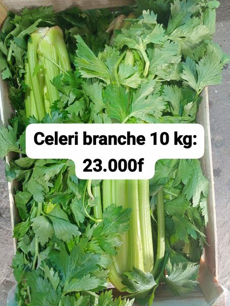 Céleri branche 10kg