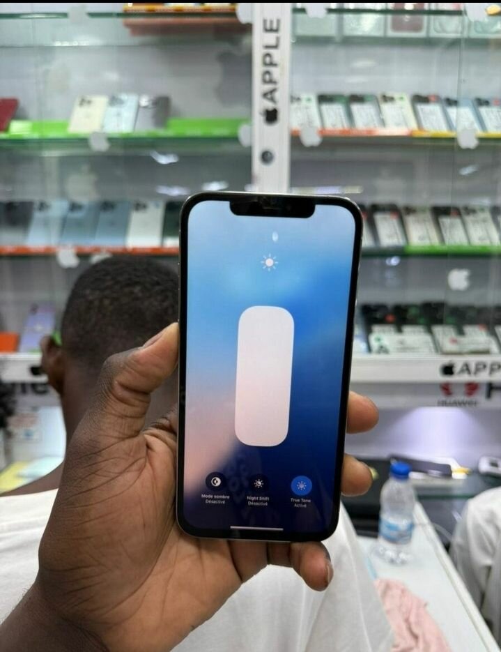 iPhone 13 Pro Max Argent