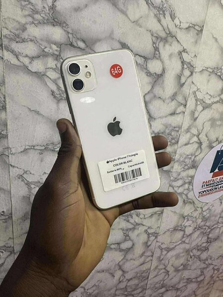 iPhone 11 - Couleurs Variées
