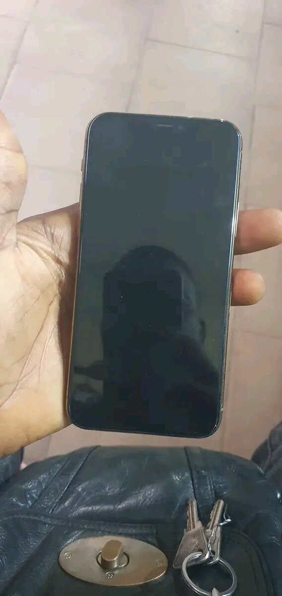 iPhone 11 Pro Max Or