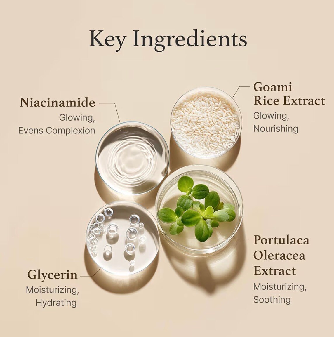 Rice Toner for Glowing Skin