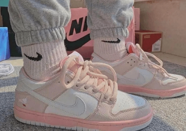 Baskets Nike SB Pastel Rose