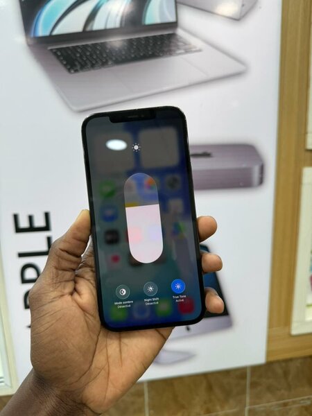 iPhone 12pro max 128Go