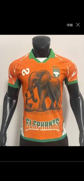 Maillot Côte d'Ivoire Éléphants
