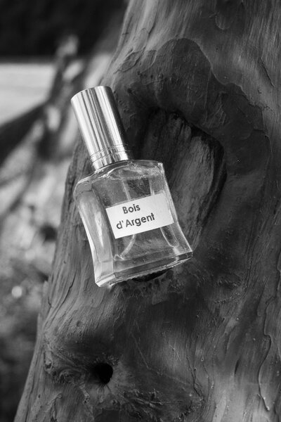 Essence de parfum homme et fem