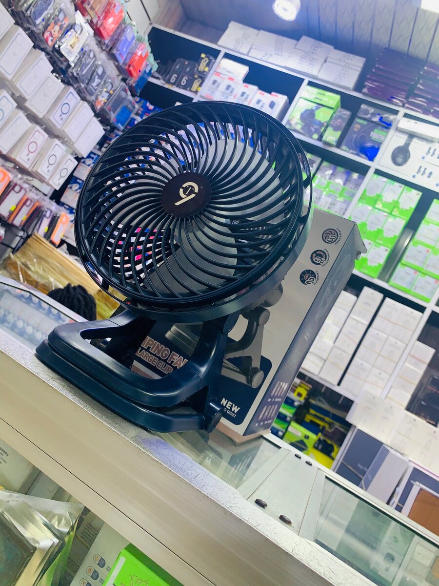 Portable rechargeable fan