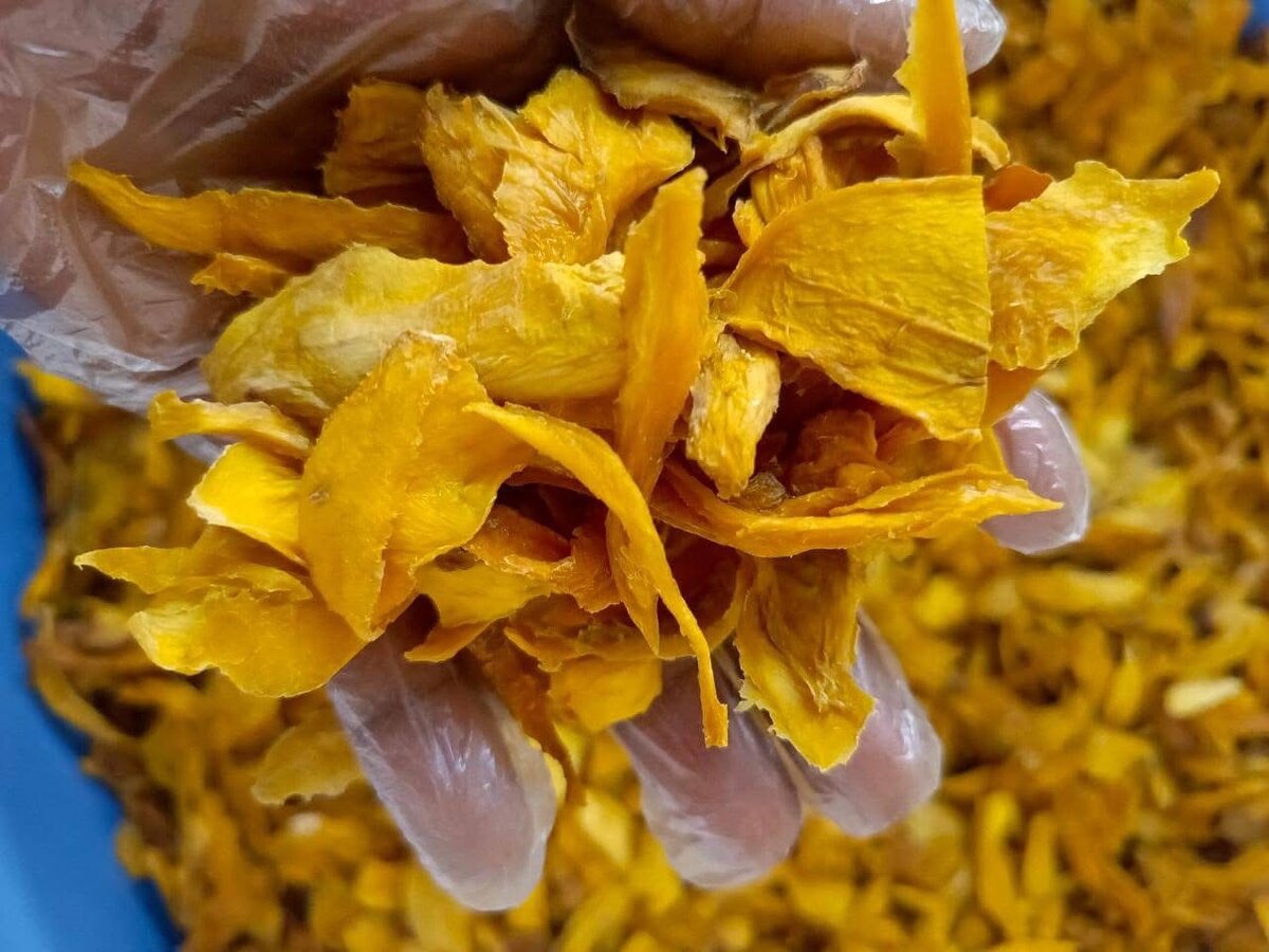 Mangues séchées naturelles