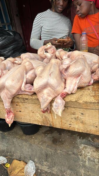 Poulet frais de qualité