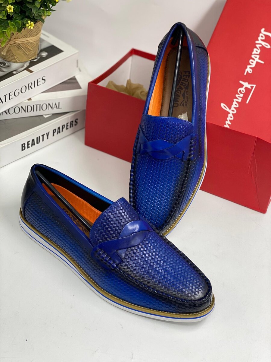 Salvador Feragamo Shoe