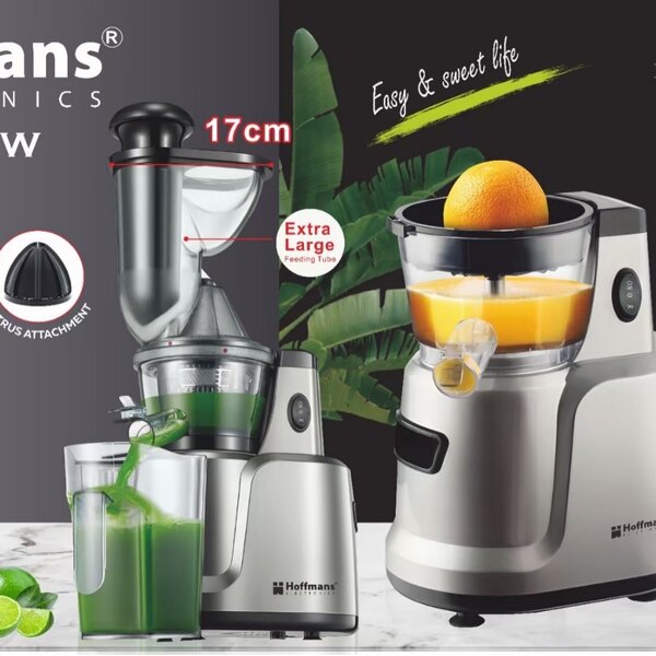 Slow juicer 2 in 1