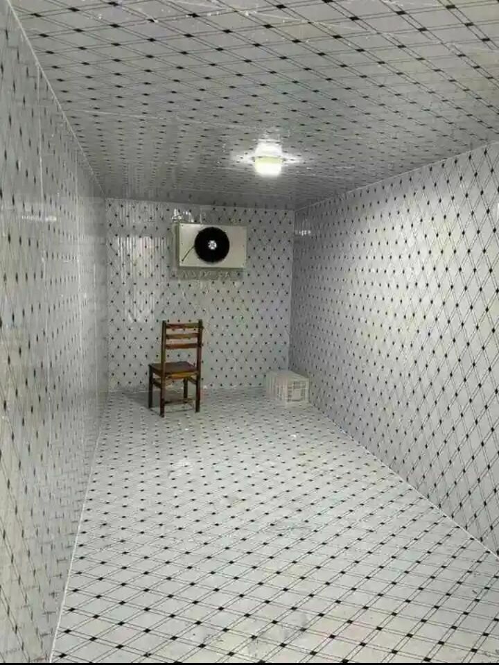 Chambre froide mobile portable