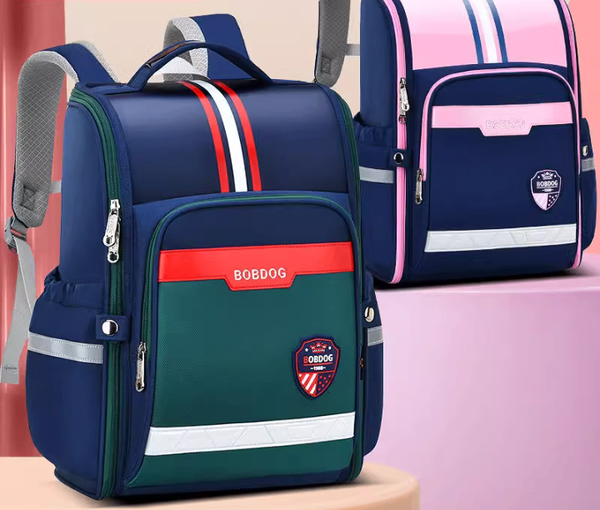 Multifunctional elegant Kids School Bag