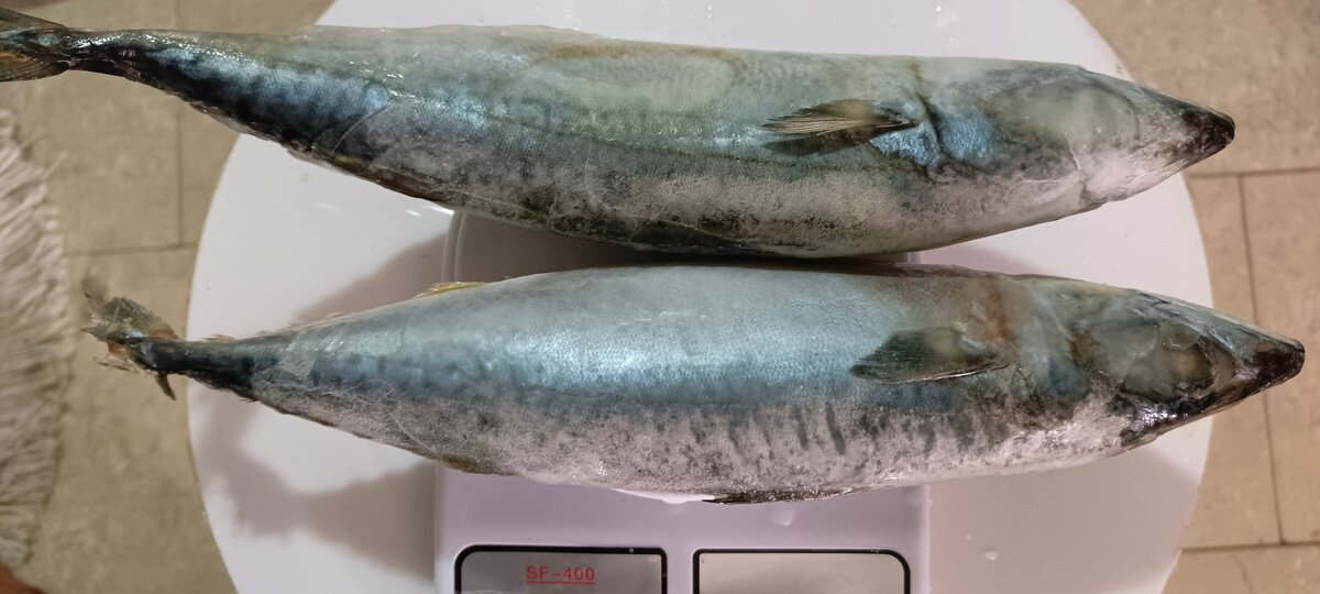 Maquereau frais délicieux 1kl