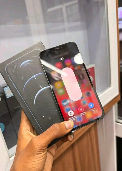 iPhone 12 Pro Max Bleu