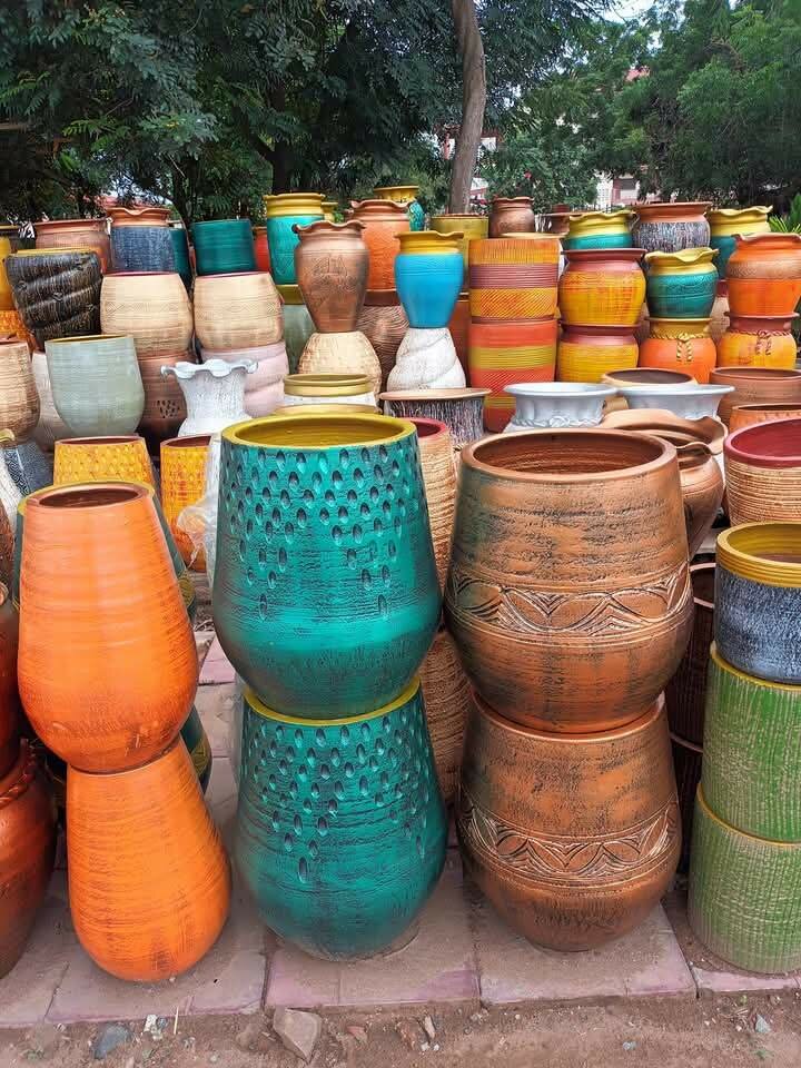 Plants Flower Pots and Fertilizers for Sale