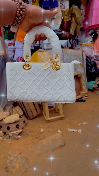 Sacs à main modernes et élégants