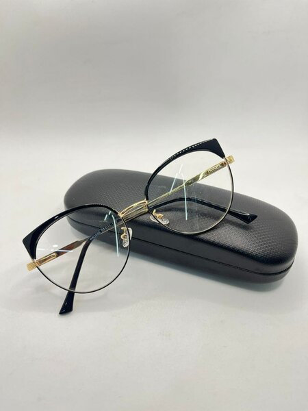 Lunettes élégantes avec étui