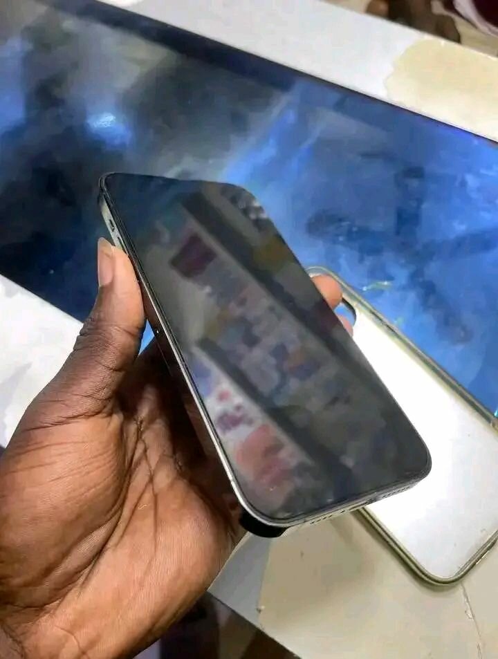 iPhone 14 Pro Max Gris