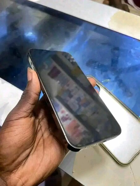 iPhone 14 Pro Max Gris