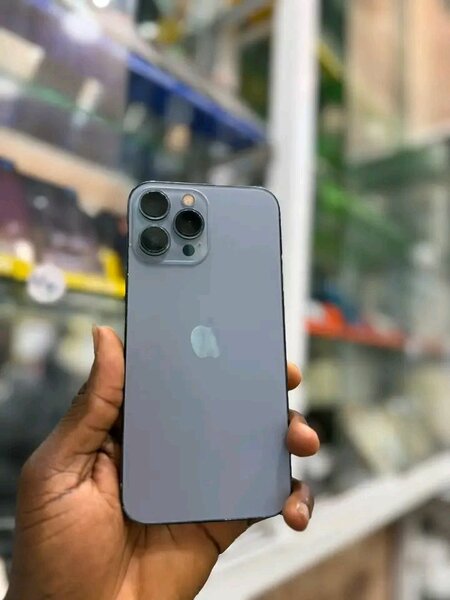 iPhone 13 Pro Max Gris