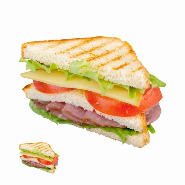 Sandwich Toaster Fromage