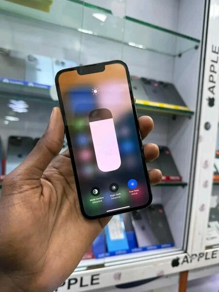 iPhone Pro Max argenté