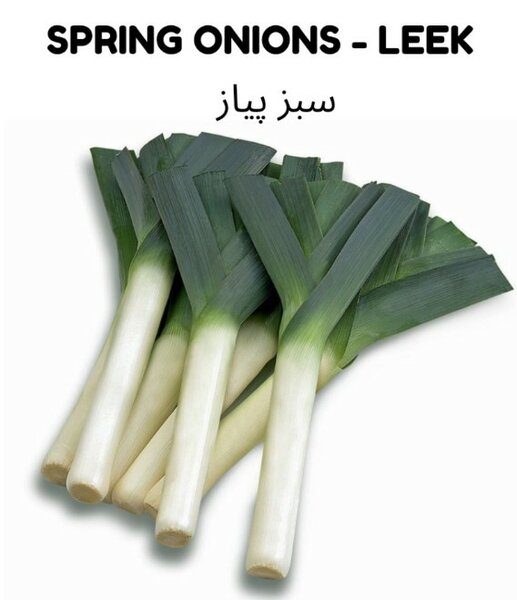 Leek, Green Onion Seeds ( Spring Onion), USA ہرا پیاز