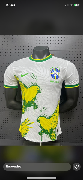 Maillot Brésil concept