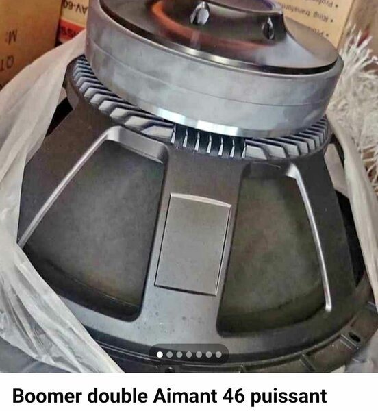 Subwoofer double aimant puissant