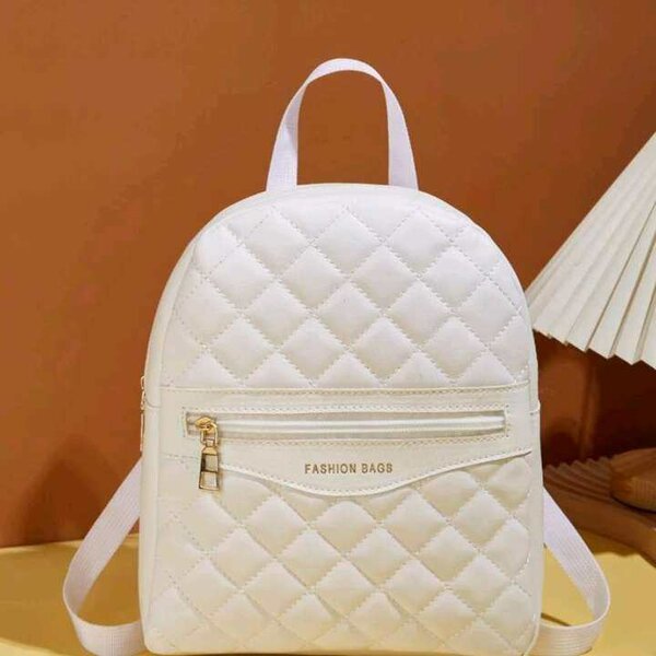 Large capacity storage spaced mini bagpack